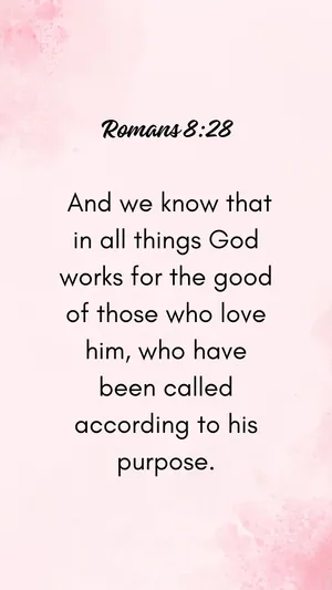 Pink Romans828 Bible Verse Wallpaper