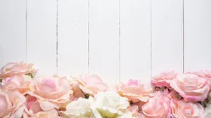 Pink Roseson White Wooden Background Wallpaper