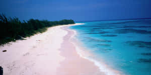 Pink Sand Beach 2000 X 1000 Wallpaper Wallpaper