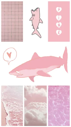 Pink Shark Collage Aesthetic.jpg Wallpaper