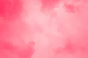Pink Simple Color Hd Wallpaper