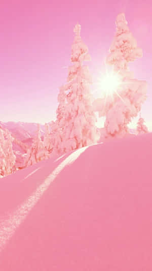 Pink Snowy Winter Sunrise Wallpaper