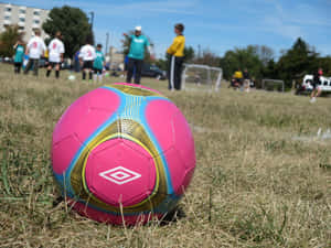 Pink Soccer Ball On Green Grass Wallpaper