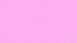 Pink Solid Color Blush Wallpaper