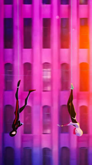 Pink Spider Man Swinging Wallpaper