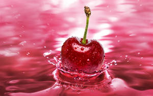 Pink Splash Cherry Wallpaper