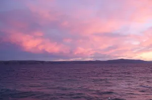 Pink Sunset Over Sea Wallpaper