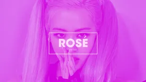 Pink-tinted Rose Blackpink Desktop Wallpaper