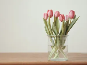 Pink Tulipsin Glass Vase Wallpaper