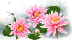 Pink Water Lilies Artwork Wallpaper