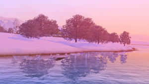 Pink Winter Sunset Reflection Wallpaper