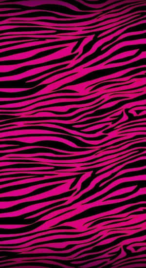 Pink Zebra Print Pattern Wallpaper