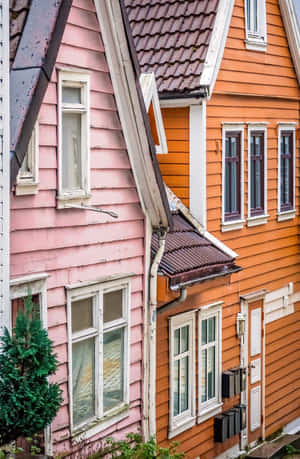 Pinkand Orange Houses Contrast Wallpaper