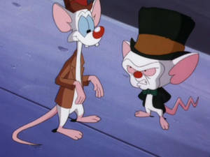 Pinky And The Brain Film Scene Wallpaper