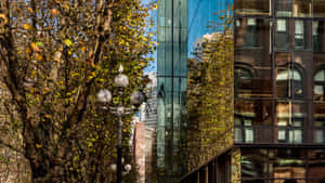 Pioneer Square Seattle Architectural Contrast Wallpaper