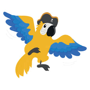 Pirate Parrot Cartoon Illustration Wallpaper