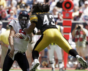 Pittsburgh Steeler's Safety Troy Polamalu Wallpaper