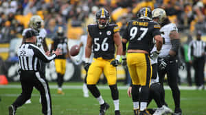 Pittsburgh Steelers Defense Action Wallpaper