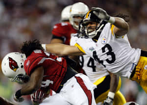 Pittsburgh Steelers's Troy Polamalu On The Field Wallpaper