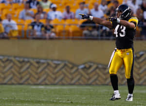 Pittsburgh Steelers Safety Troy Polamalu On The Field Wallpaper