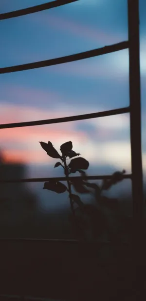 Pixel 3xl Low Light Photography Wallpaper