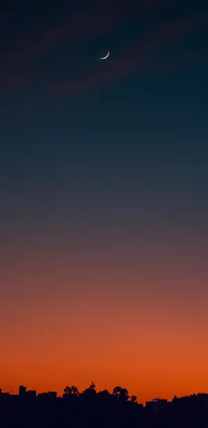 Pixel 3xl Night Sky Capture Wallpaper