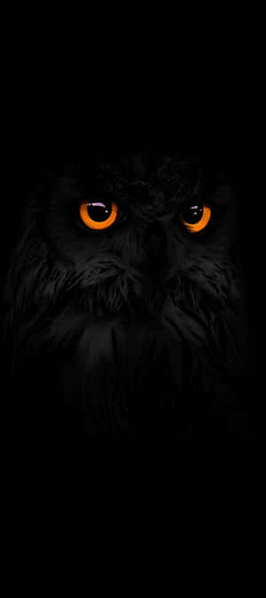 Pixel 9 Dark Mode Wallpaper Wallpaper