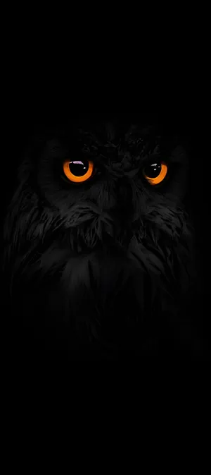 Pixel 9 Dark Mode Wallpaper Wallpaper