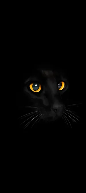 Pixel 9 Dark Mode Wallpaper Wallpaper