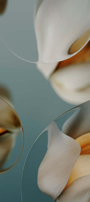 Pixel 9a Abstract Wallpaper Wallpaper