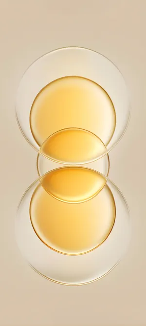 Pixel 9a Elegant Wallpaper Wallpaper