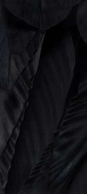 Pixel 9a Midnight Black Design Wallpaper