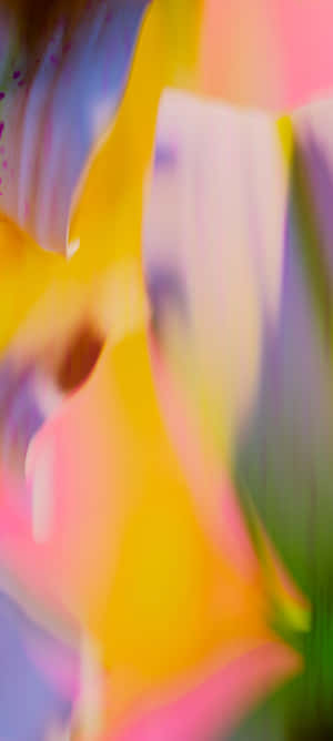 Pixel 9a Vibrant Wallpaper Wallpaper