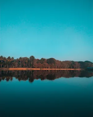 Placid Afternoon In The Lake Wallpaper