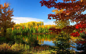 Placid Autumn Season Wallpaper