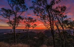 Placid Daybreak Wallpaper