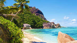 Placid Summer Wallpaper