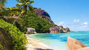 Placid Summer Wallpaper