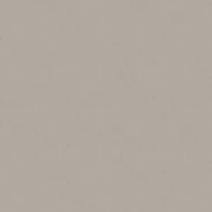 Plain Beige 1000 X 1000 Wallpaper