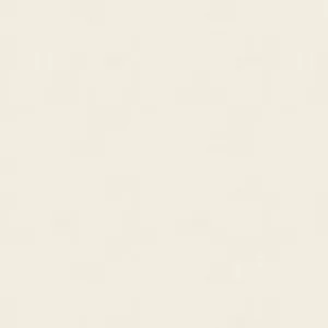 Plain Beige 1000 X 1000 Wallpaper