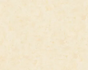 Plain Beige 1000 X 800 Wallpaper