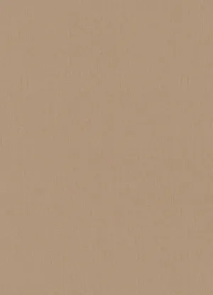 Plain Beige 1159 X 1600 Wallpaper