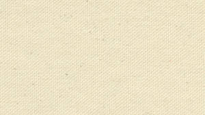Plain Beige 1600 X 900 Wallpaper