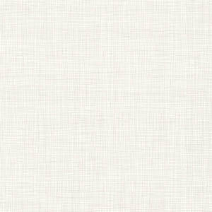 Plain Beige 900 X 900 Wallpaper