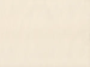 Plain Beige Paper Wallpaper