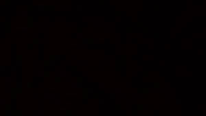 Plain Black Colour Wallpaper