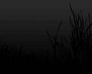 Plain Black Grass Pattern Wallpaper