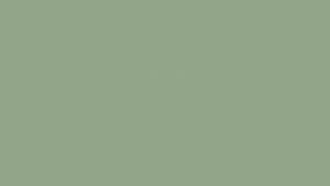 Plain Dark Sage Green Desktop Wallpaper