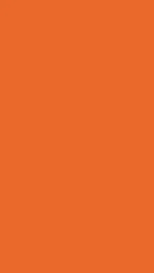 Plain Orange Phone Background Wallpaper