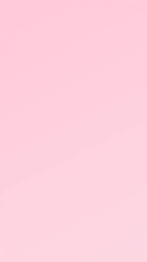 Plain Pastel Pink Iphone Wallpaper